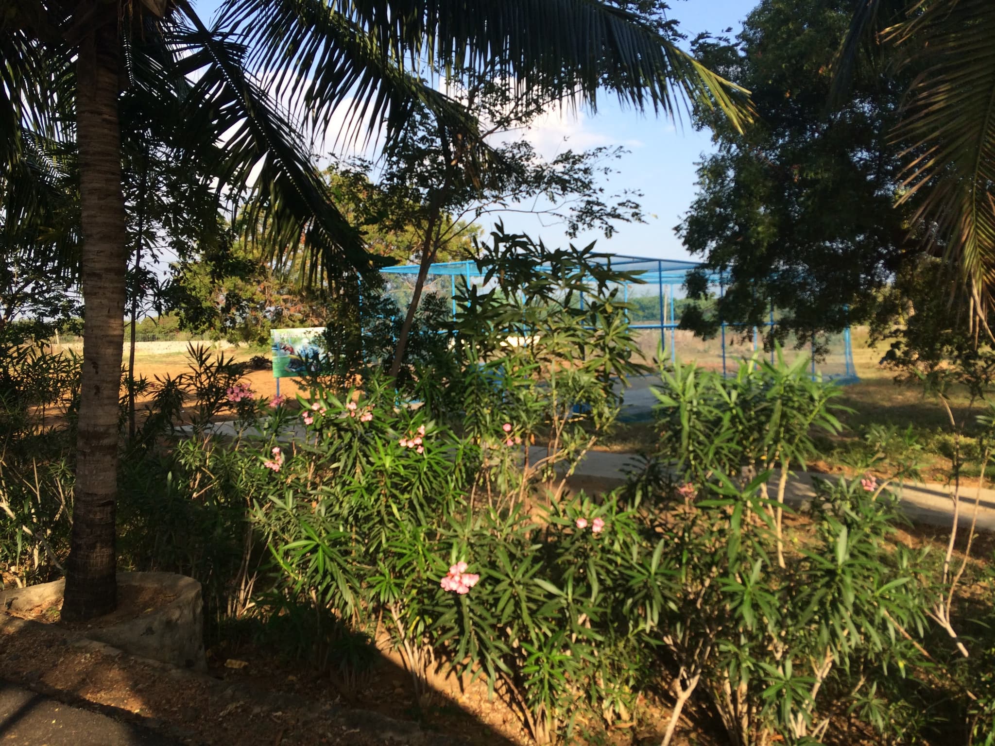 Venue