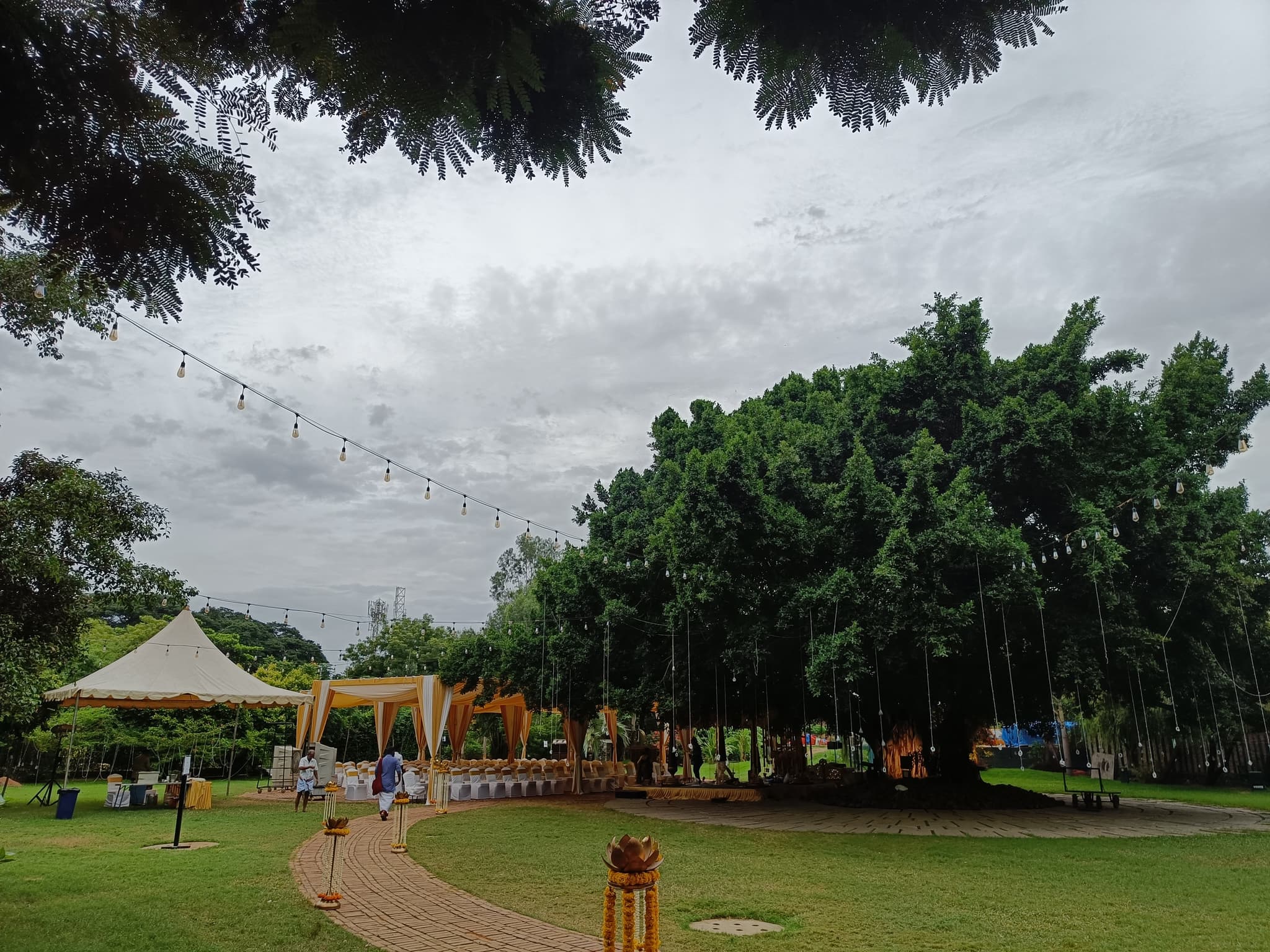 Venue