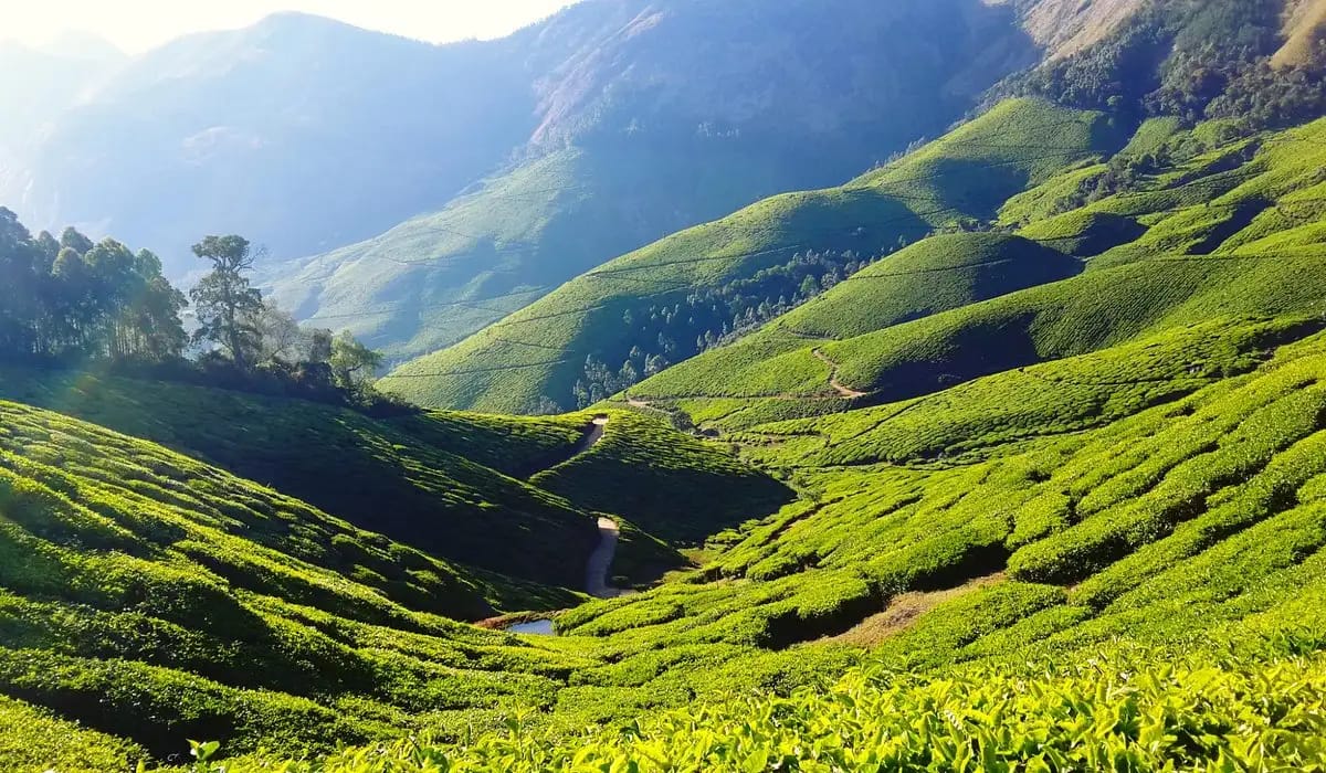 Theni venues